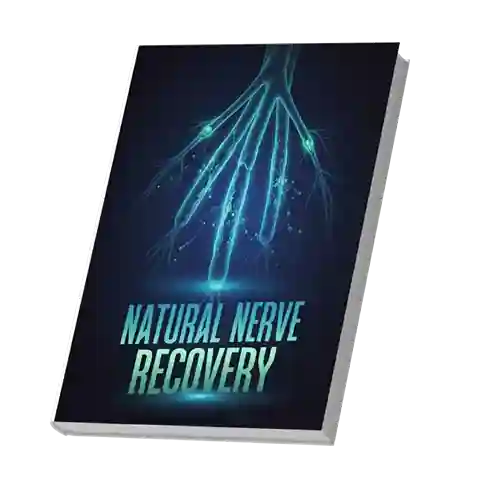 JointBrex Bonus 2 – Natural Nerve Recovery Digital Guide